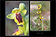 Ophrys lutea 1