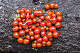 Leocarpus fragilis 2