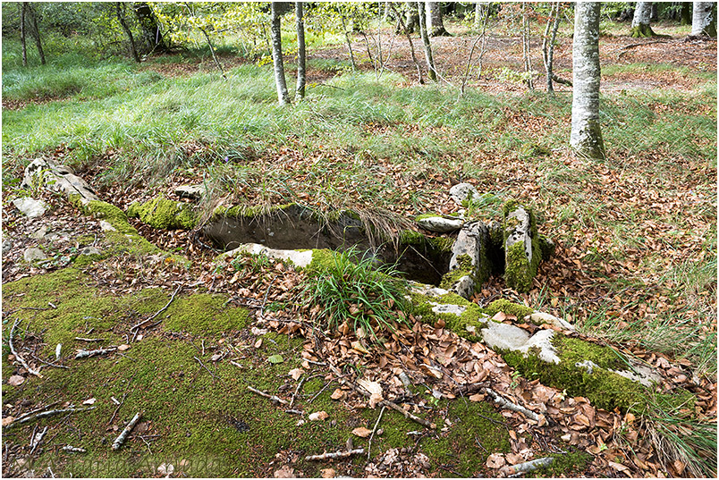 Arkatxu Trikuharria.Dolmen de Arkatxu