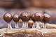 Hemitrichia clavata 2