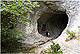 Basaula 1