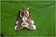 Thyatira batis 1