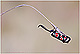 Zygaena occitanica 1