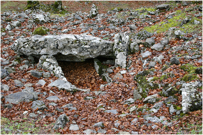 Erbilerri