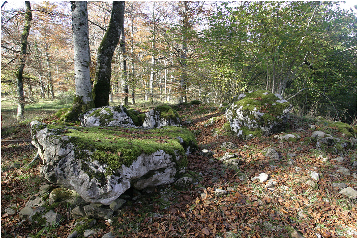 Txuritxoberri