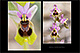 Ophrys tenthredinifera 2